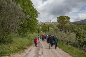 Assisi 2017